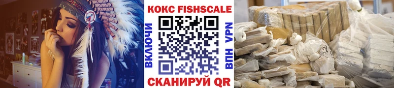 дарк нет телеграм  mega как войти  Каменногорск  продажа наркотиков  КОКАИН VHQ 