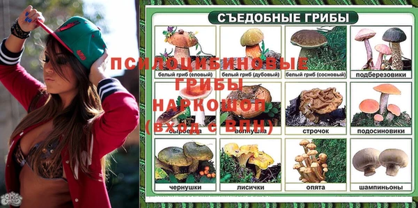 СК Бородино