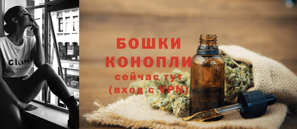 СК Бородино