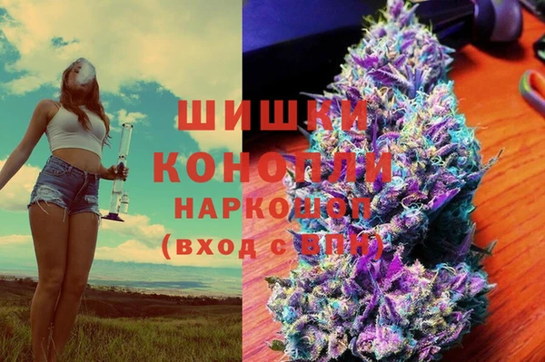 первитин Богданович