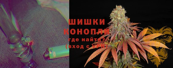 СК Бородино