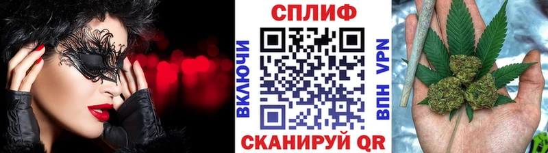 магазин Каменногорск Марихуана конопля